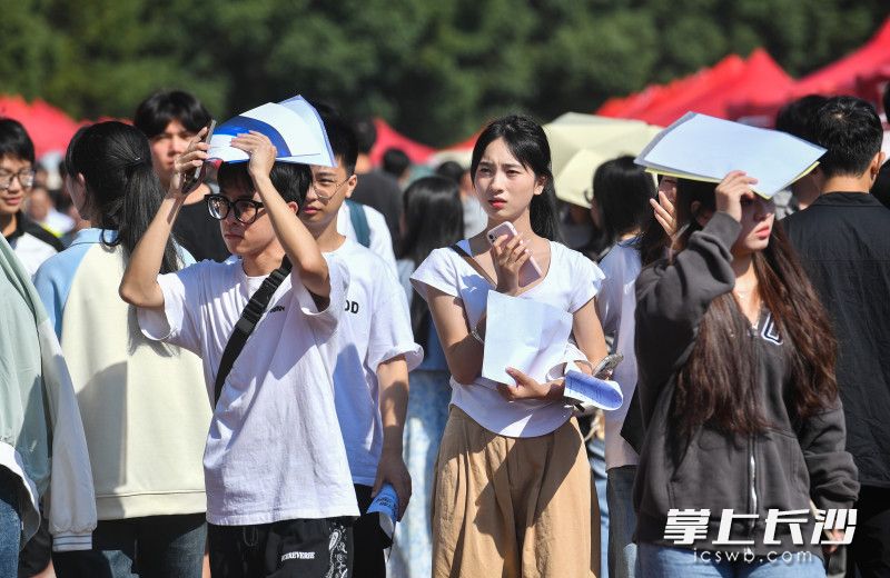 即将毕业的高校毕业生们正在寻找自己满意的工作。
