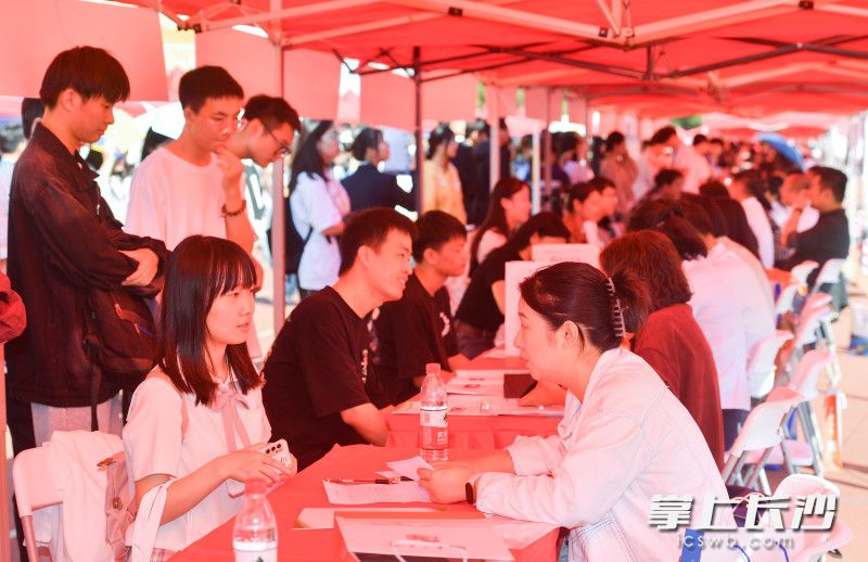 即将毕业的高校毕业生们正在寻找自己满意的工作。