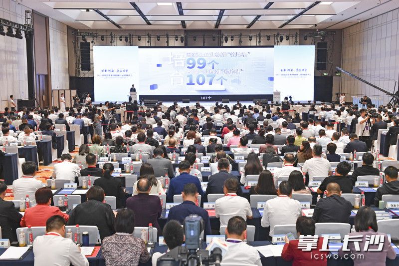 10月19日，2023全国民营企业科技创新与标准创新大会——知名民企助力现代化新湖南建设大会在长沙举行。  长沙晚报全媒体记者 王志伟 摄