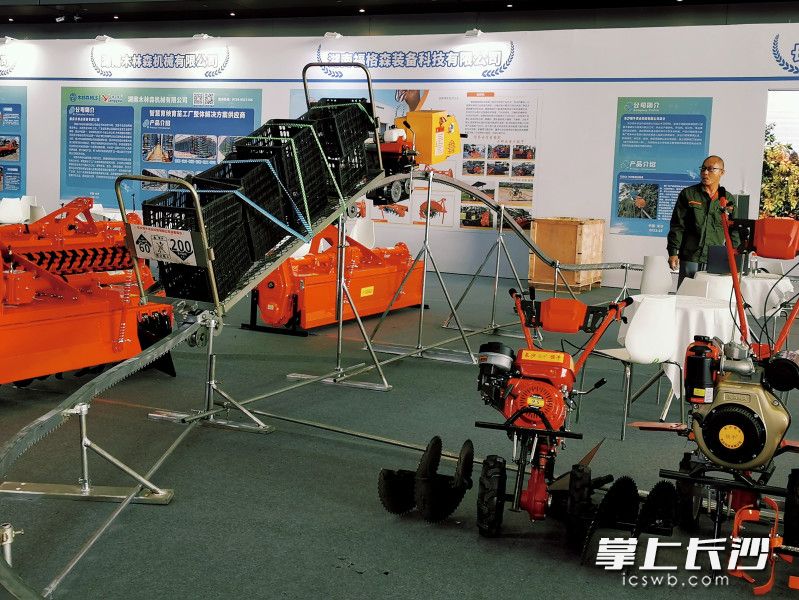 果园轨道运输机运作中。长沙晚报全媒体记者 祝林灿 摄 果园轨道运输机运作中。长沙晚报全媒体记者 祝林灿 摄