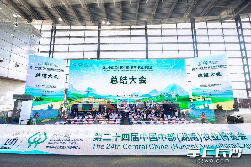 总结大会现场。组委会 供图 