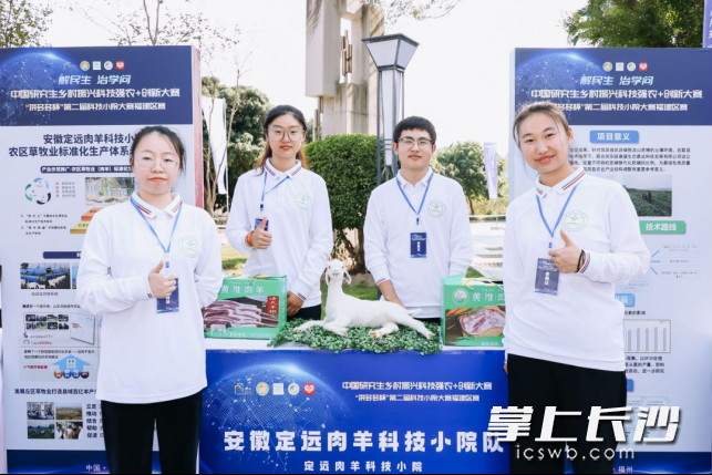 福建农林大学平和蜜柚科技小院 黄华伟 ｜ 摄