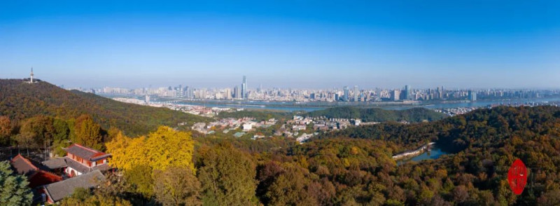 秋季的岳麓山，曾迎来了大文豪韩愈，今人却找不到一处与他有关的遗迹。长沙晚报全媒体记者 邹麟 摄