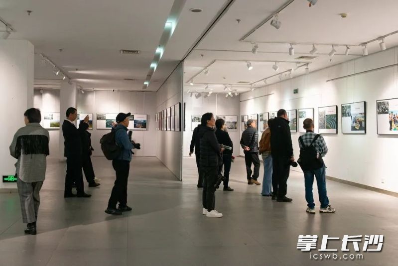 “乡村百变——乡村振兴进程中的影像展”长沙站巡展举行。主办方供图