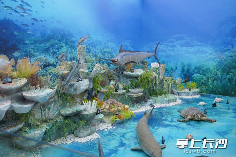 来到“海洋生态场景”，就会听到海浪的声音。