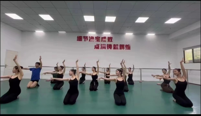 艺术生在一家艺术培训学校练习舞蹈。资料图片