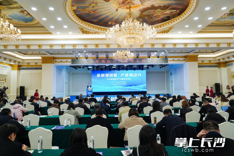 长沙星城经开产业基金发布会现场。均为长沙晚报通讯员 舒展 摄