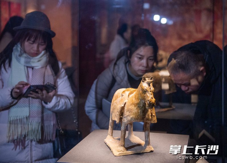 长沙博物馆馆庆系列活动暨“融合之路——拓跋鲜卑迁徙与发展历程”特展开幕，市民正在观看展览。
