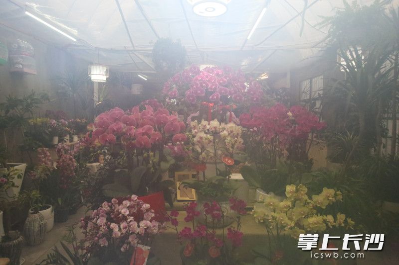 花卉棚里，正在熏烟取暖。