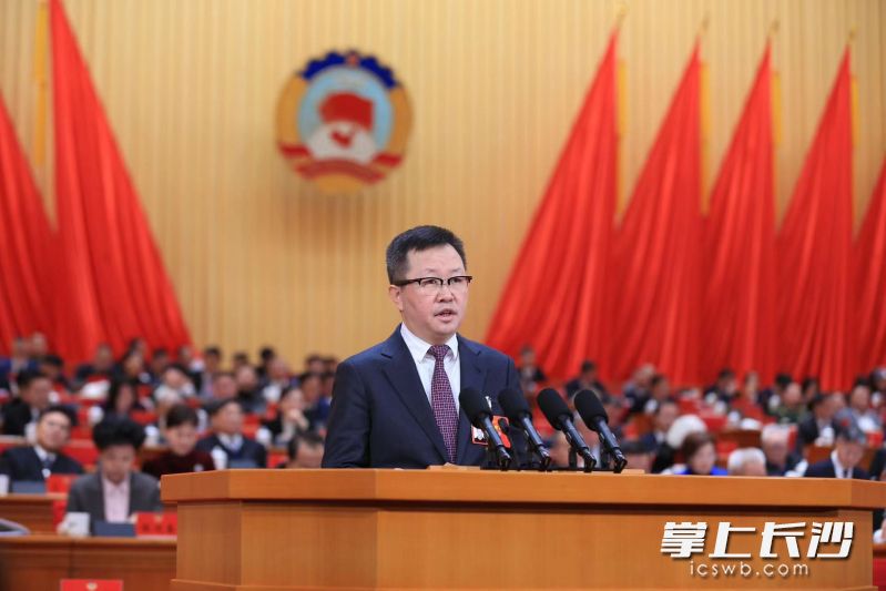 省政协委员、万兴科技董事长吴太兵发言。 通讯员 王宇轩 摄