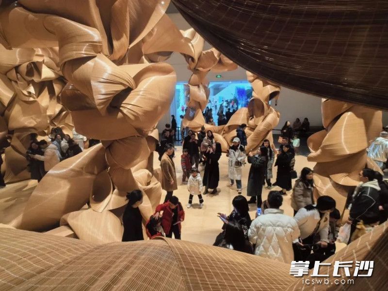 市民参观“㵘·漫·慢首届湖南公共艺术季”展览。均为湖南美术馆供图 市民参观“㵘·漫·慢首届湖南公共艺术季”展览。均为湖南美术馆供图