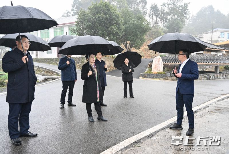 3月5日下午，省委常委、市委书记吴桂英在浏阳市淳口镇山田新村古井屋场调研。均为长沙晚报全媒体记者 余劭劼 摄