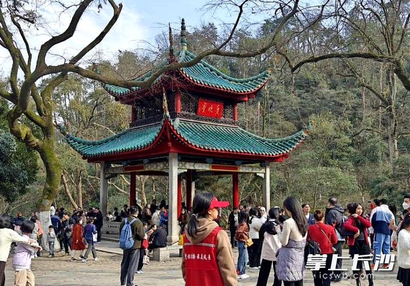 游客在爱晚亭游览。