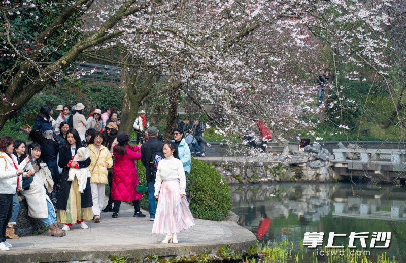 众多游客排队打卡拍照。