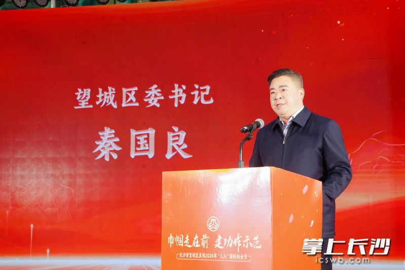 望城区委书记秦国良讲话。