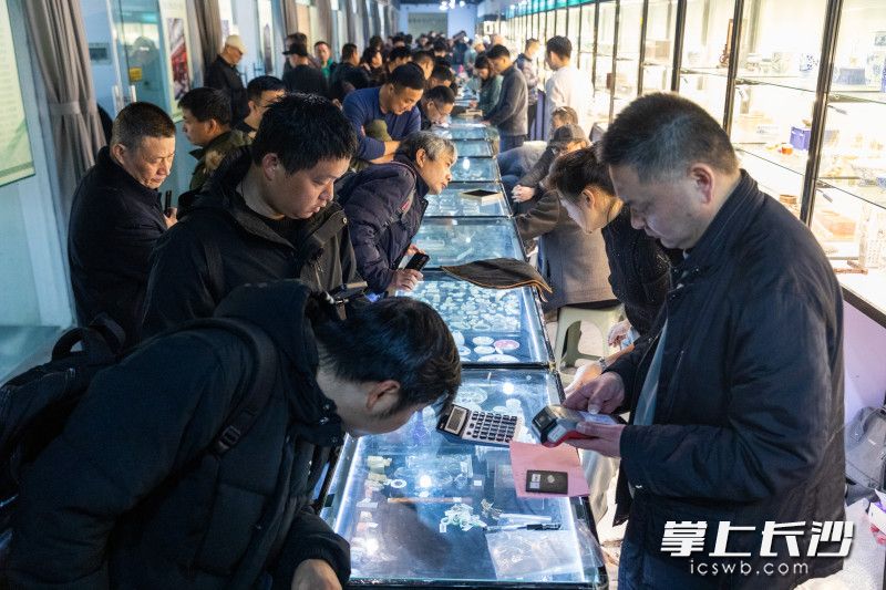 全国国有文物商店交流会在湖南大麓珍宝古玩城四楼举行。  均为长沙晚报全媒体记者董阳摄
