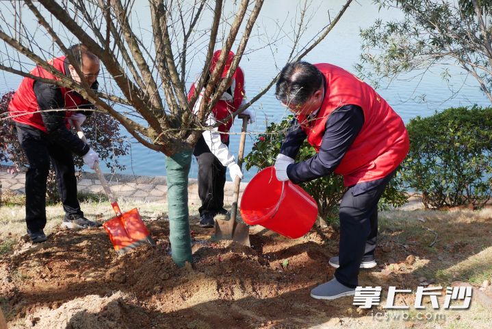 今日，长沙市城管执法局2024年“绿色长沙·美丽星城”3·12义务植树活动举行。均为长沙晚报通讯员 高思玥 摄