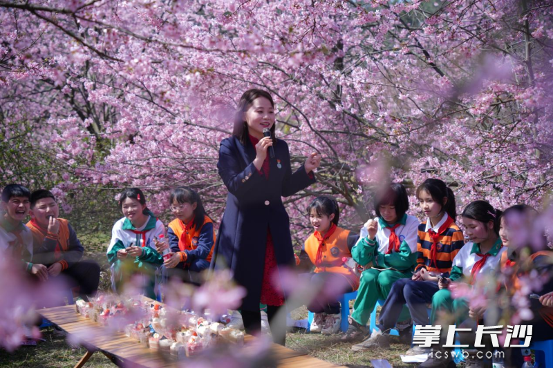 谢莉带领大家在樱花树下品尝自然的味道。