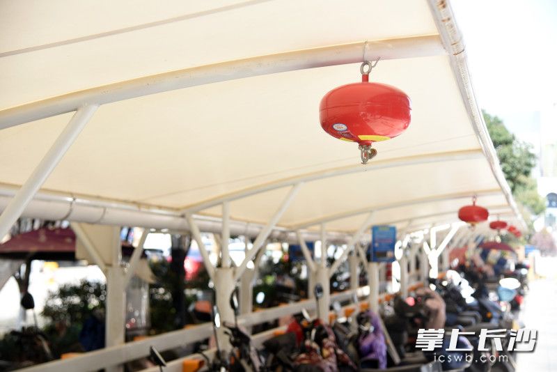 悬挂式干粉灭火装置守护电动车充电棚消防安全。均为长沙晚报全媒体记者 刘琦 摄