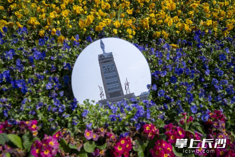 长沙火车站的“自拍照”。长沙晚报全媒体记者 周数邑 实习生 欧阳潇潇 摄影报道