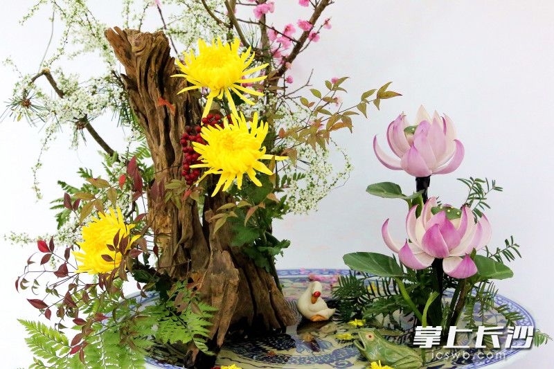 今日，湖湘插花代表性传承人黎佩龙作品展在省植物园开展。均为长沙晚报全媒体记者 贺文兵 摄