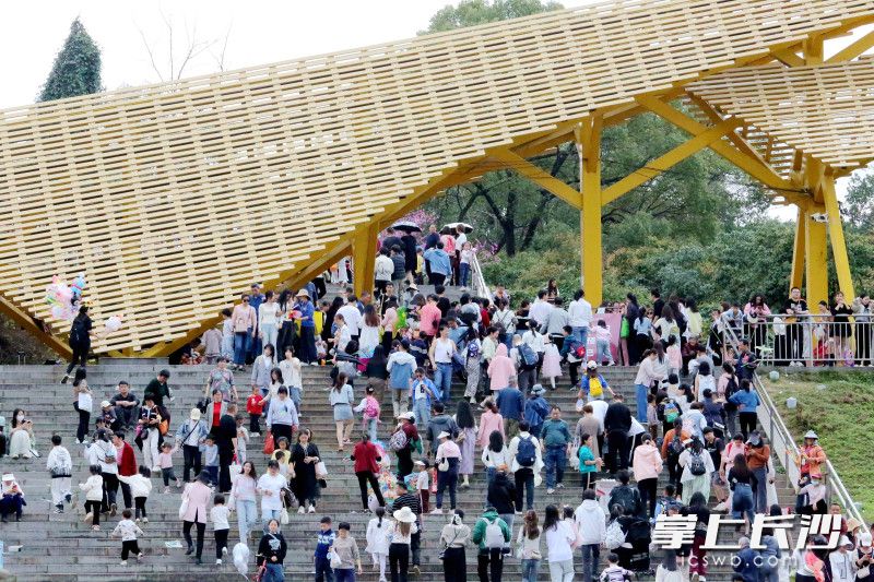 今日，到省植物园赏花的市民和游客非常多。长沙晚报全媒体记者 贺文兵 摄