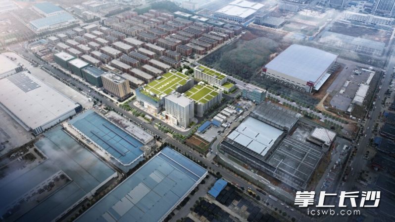兆兴博拓华中总部基地工业园项目效果图。