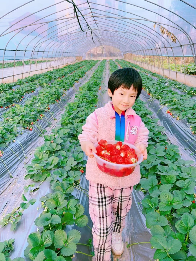 小朋友们开心地展示采摘成果。