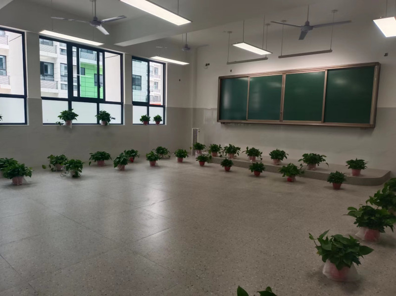 每间教室都放置了数十盆绿色植物。