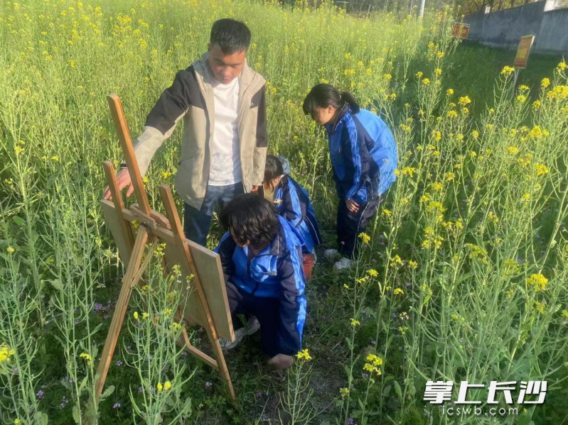 美术课也搬进了油菜花地。 美术课也搬进了油菜花地。