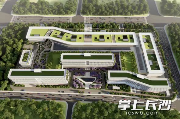 香樟医院效果示意图