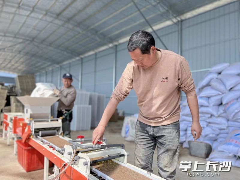 兴隆源原生态种植养殖合作社负责人吴雄正在调试育秧机，该合作社今年实现水稻种植全流程机械化。