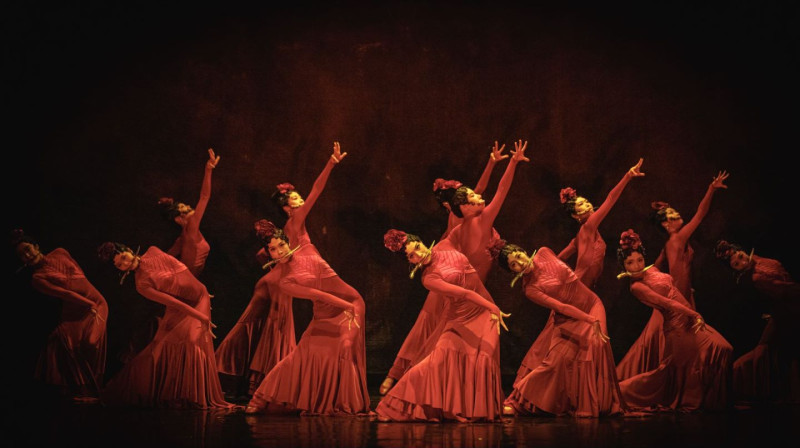 舞剧《热血当歌》剧照