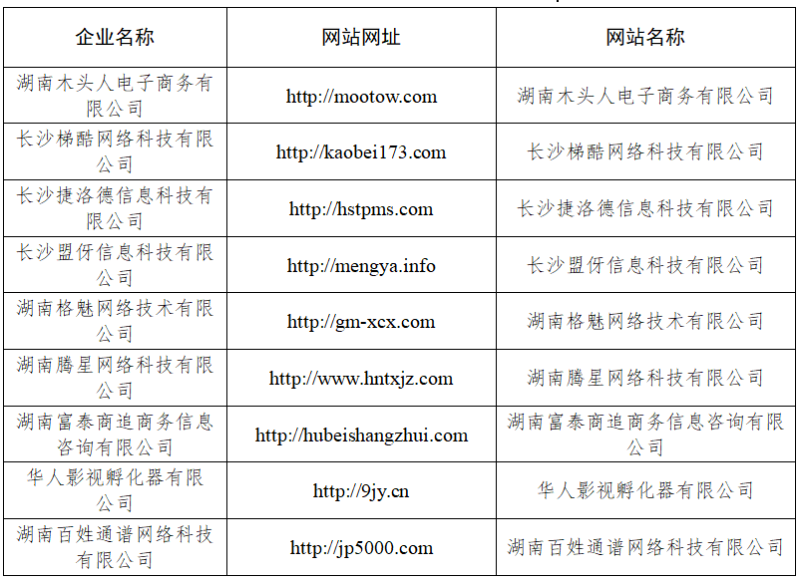 9家严重违法失信企业网站经营情况表
