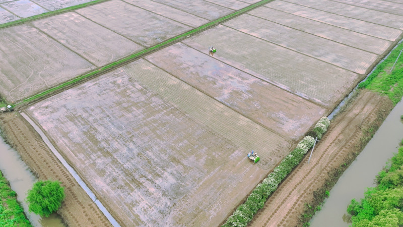 目前，春耕进入早稻插秧阶段，到处一派忙碌景象。张千帆 摄