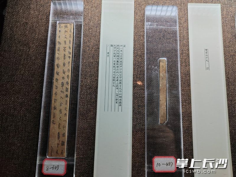 里耶古城出土秦代简牍 黄能 摄 