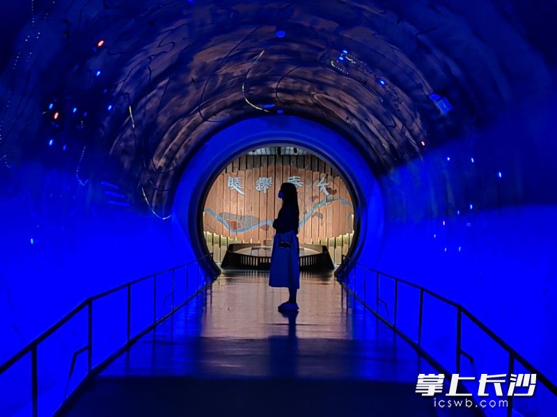 里耶秦简博物馆 黄能 摄