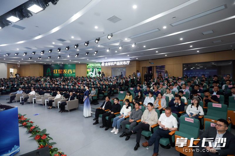 4月23日，2024年长沙市雨花区知识产权宣传周在红星全球农批中心正式启动。 均为长沙晚报通讯员 张琳琳 摄