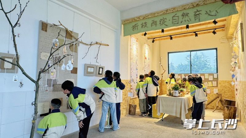 白箬中心小学举行折枝艺术和诗歌朗诵活动。均为通讯员 蔡汝先 供图