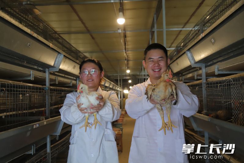 湖南农大的研究生学子展示样本。
