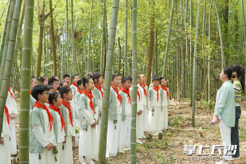 同学们来到竹林里,上了一堂生动的“竹林思政课”。均为长沙晚报通讯员蔡汝先供图 同学们来到竹林里,上了一堂生动的“竹林思政课”。均为长沙晚报通讯员蔡汝先供图
