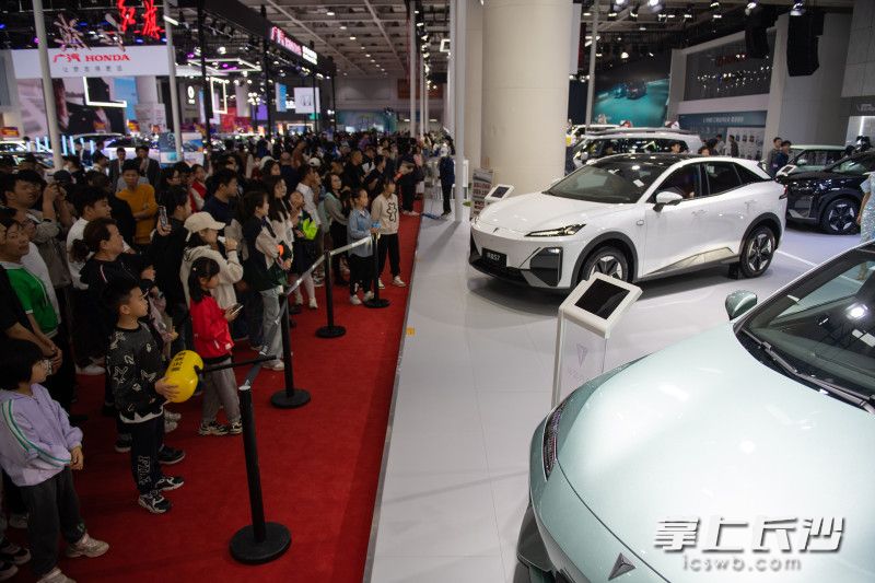 2024湖南车展人潮涌动。  长沙晚报全媒体记者 黄启晴 摄