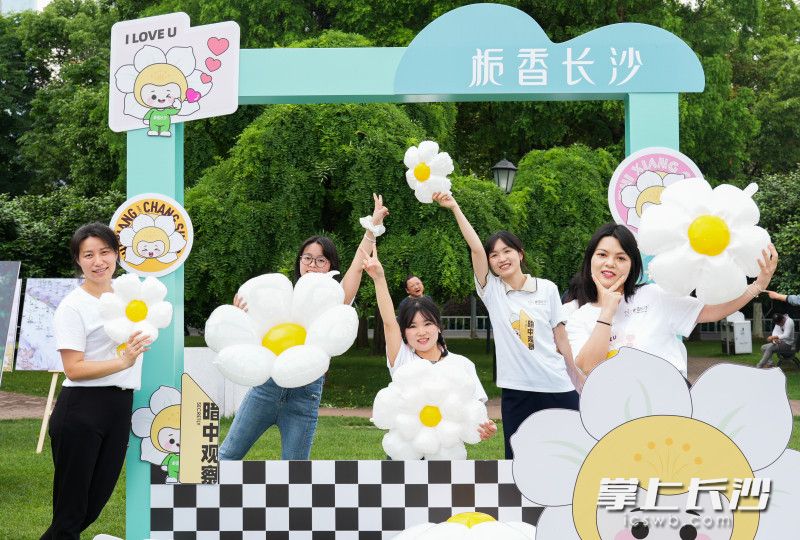 游客们正在打卡拍照。