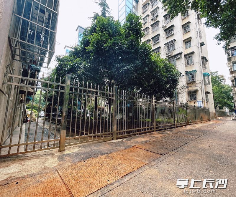 整洁的小巷。均为长沙晚报全媒体记者 匡春林 摄