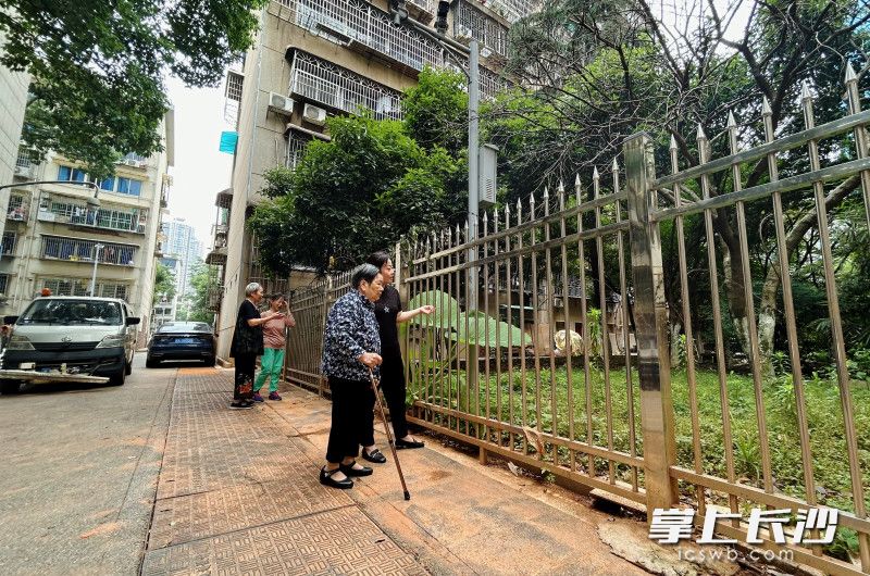 附近居民欣喜见证小巷变化。