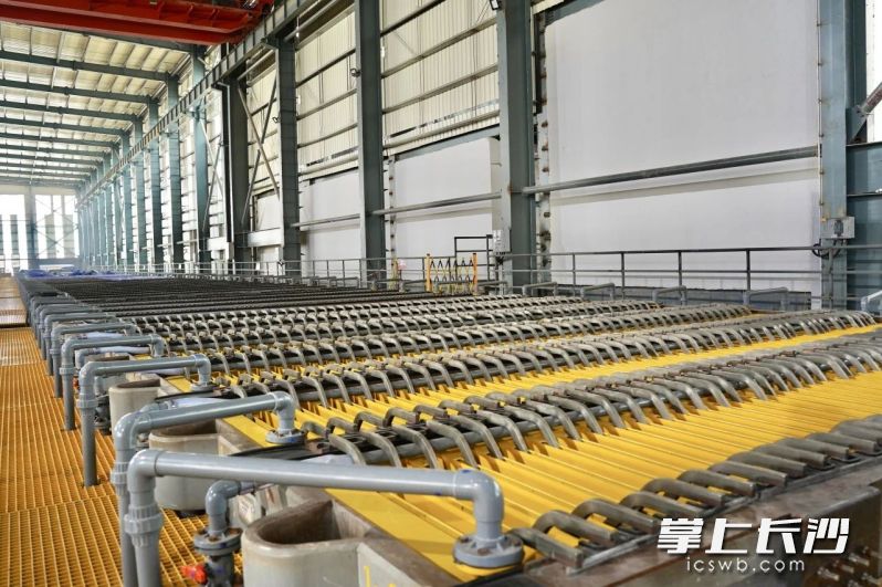 中伟鼎兴生产基地。受访者供图
