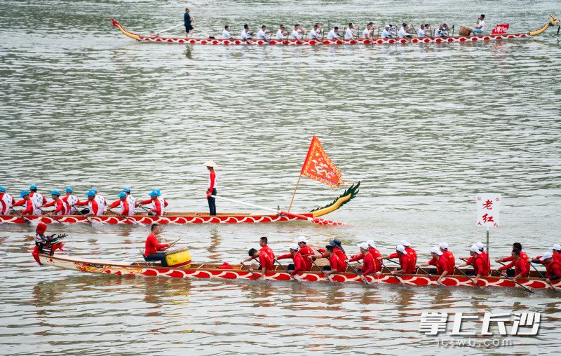 龙舟赛现场。    均为长沙晚报全媒体记者邹麟摄