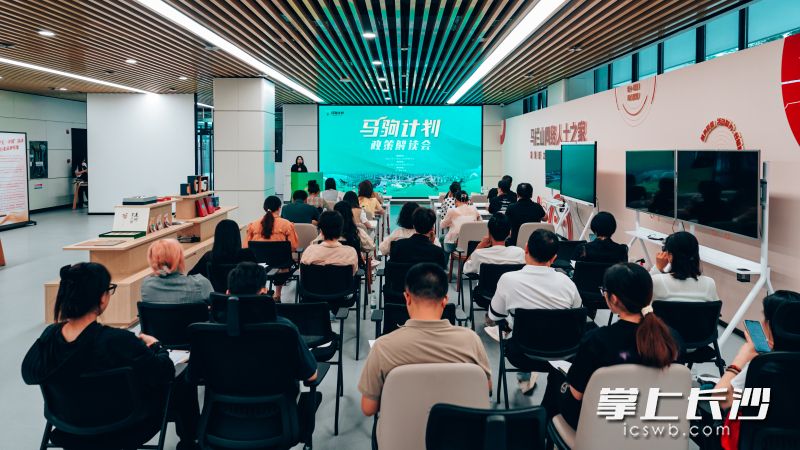 近日，马栏山视频文创产业园举行“马驹计划”新修订政策解读会。 长沙晚报通讯员 刘嘉 供图
