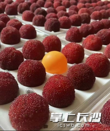 湖南顺丰为杨梅定制了专业的“蛋托”包装盒。 湖南顺丰为杨梅定制了专业的“蛋托”包装盒。