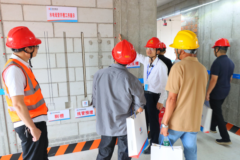 与会人员正在高冲路以南农民安置房工程观摩。